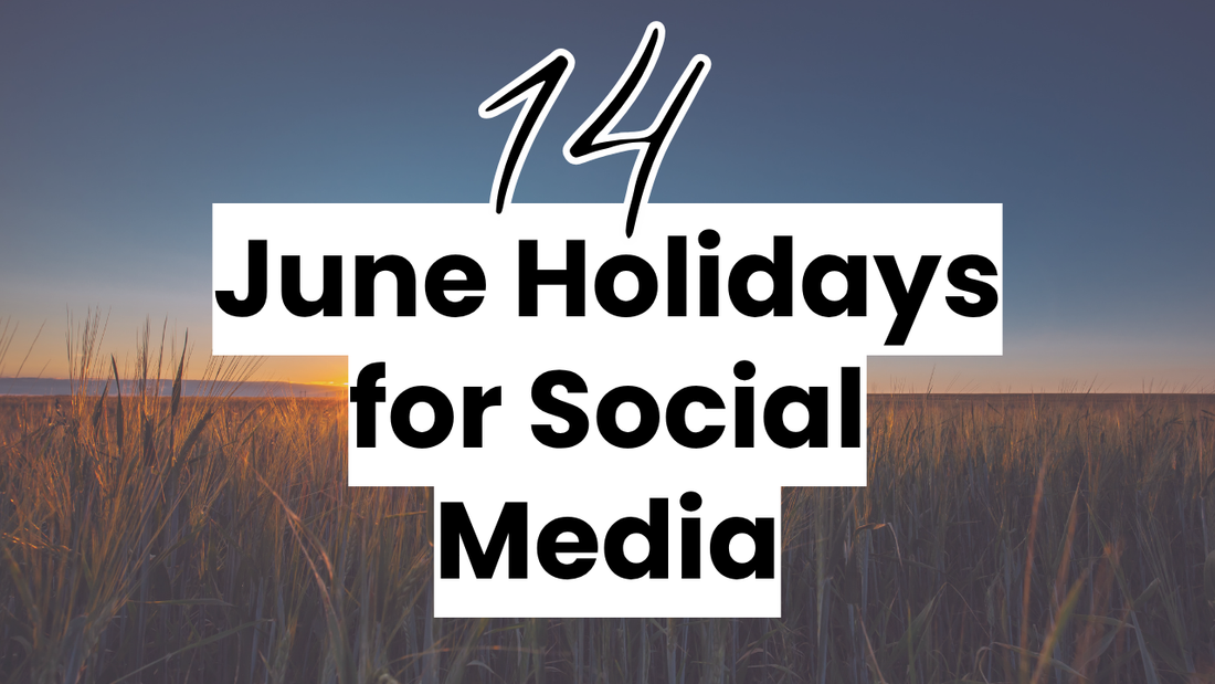 a summer sunset graphic with the text "14 June Holidays for Social Media"