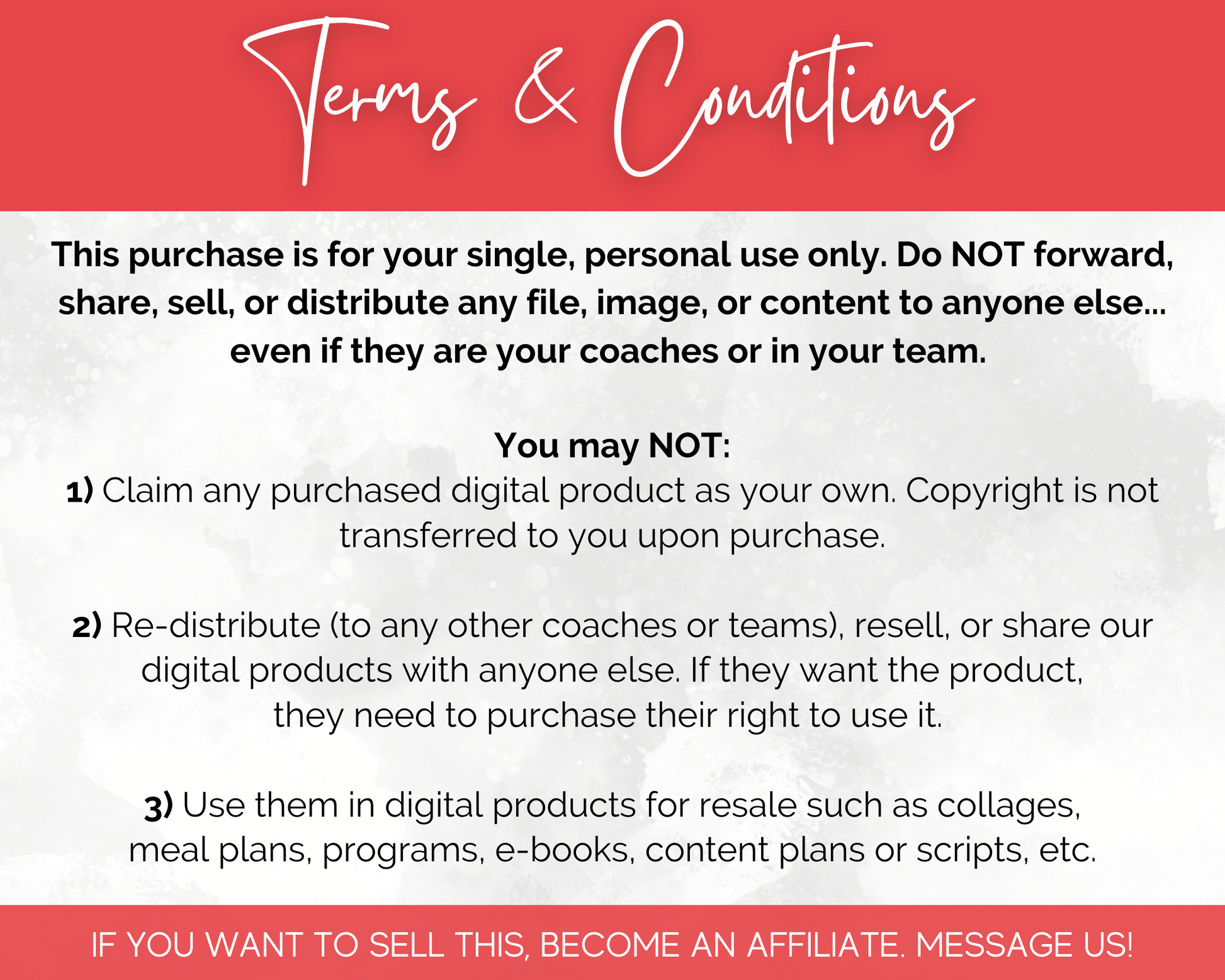 A Socially Inclined business coaching flyer featuring 'terms and conditions'.