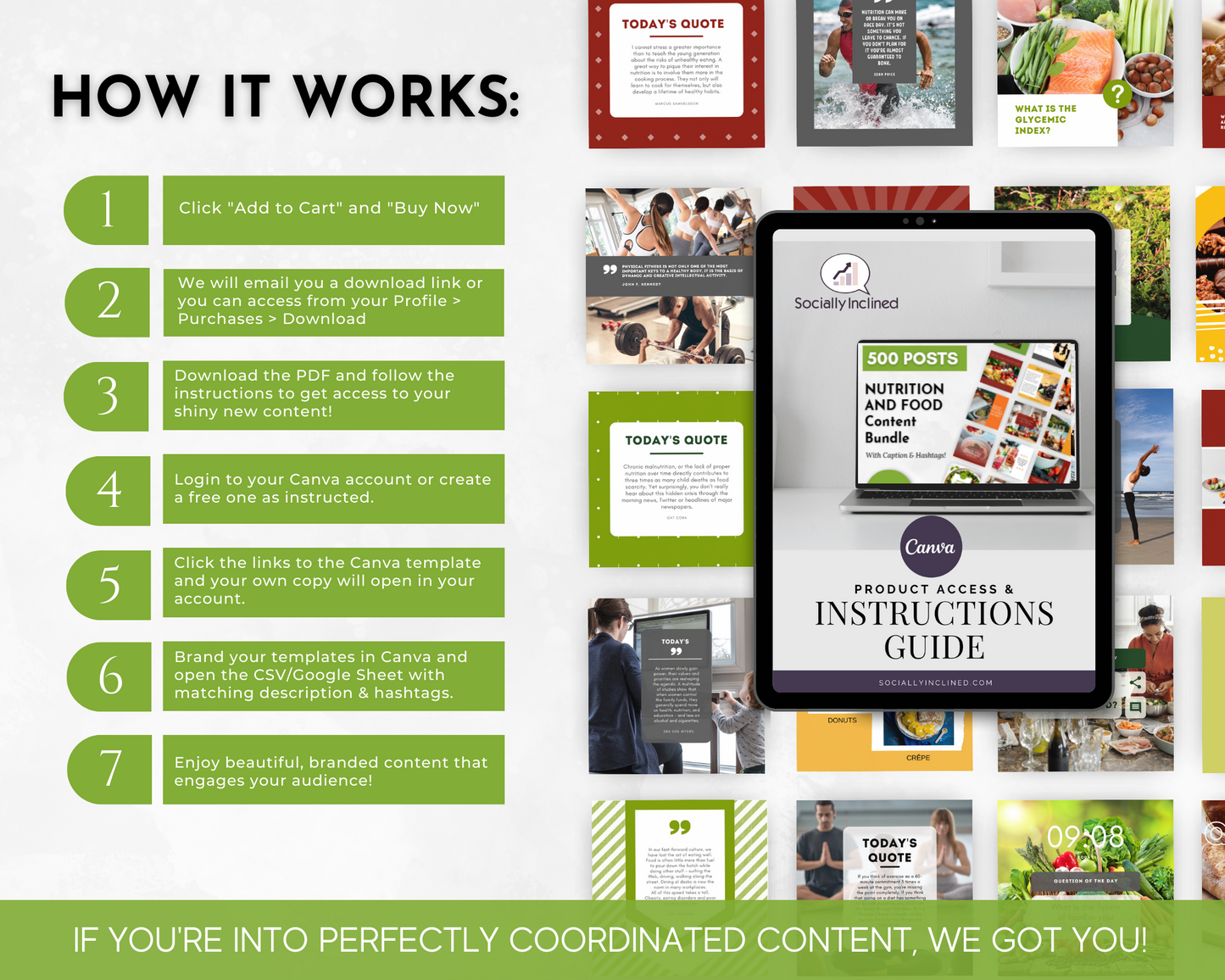 Instruction guide for understanding how the Nutrition & Food Social Media Post Bundle | 500 Posts with Canva Templates from Socially Inclined works.